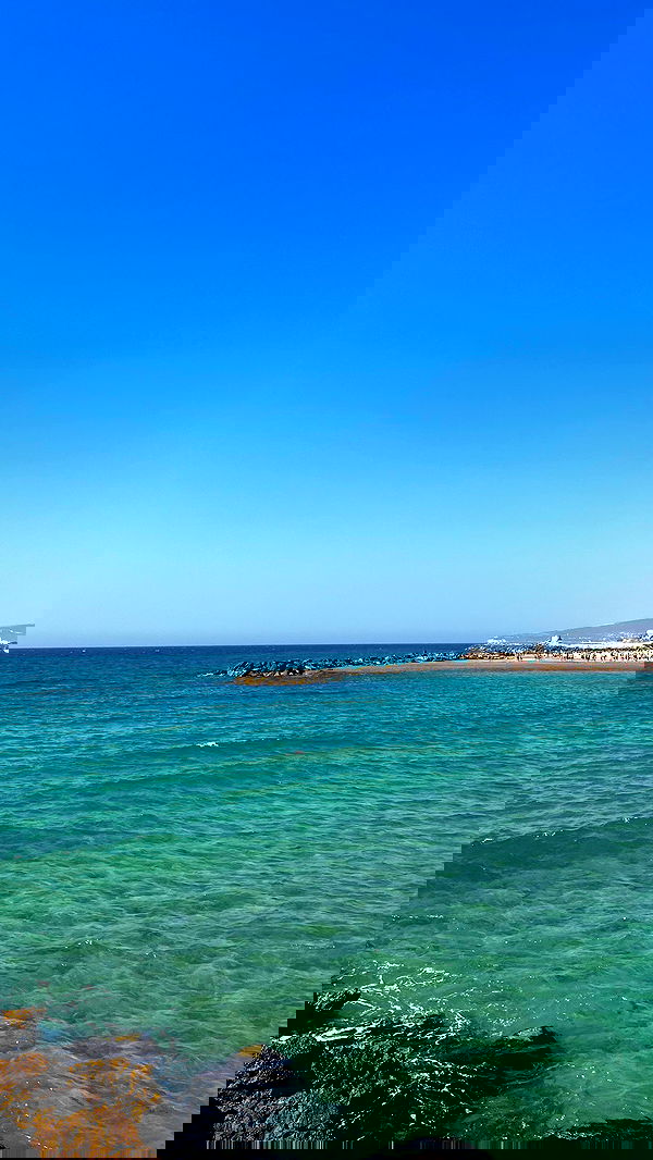 noammalka___ noammalka___ archive image