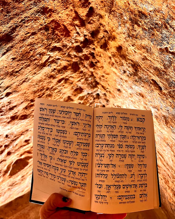 yuval_raz instagram image archive image