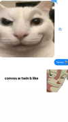 lovingmeg Altpins Profile Picture