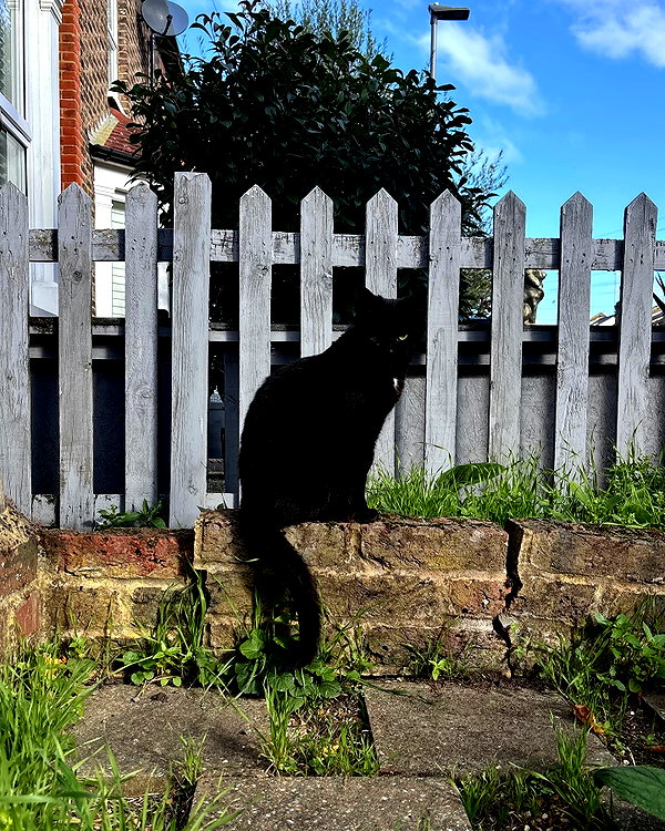 mollieruck instagram image archive image