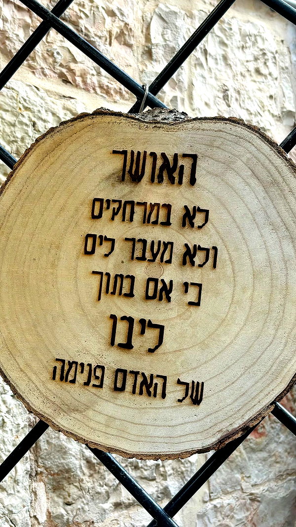 shirel.varol shirel.varol archive image