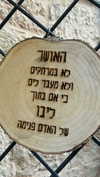 shirel.varol Altpins Profile Picture