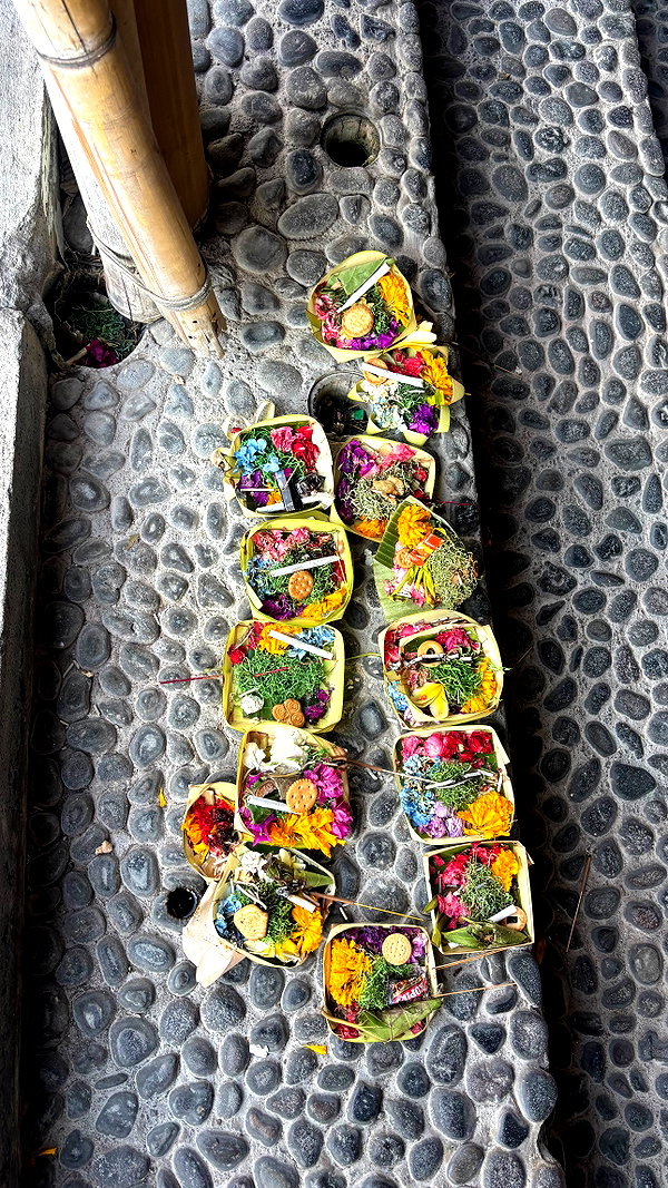 niisadurmaz instagram image archive image