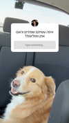 biton__adi Altpins Profile Picture