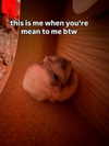 ellaexplicit_ Altpins Profile Picture