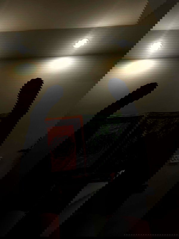 smok3ymok3y smok3ymok3y archive image