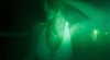 avadxwns Altpins Profile Picture