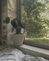 evasela__ Altpins Profile Picture
