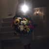 alishevs Altpins Profile Picture