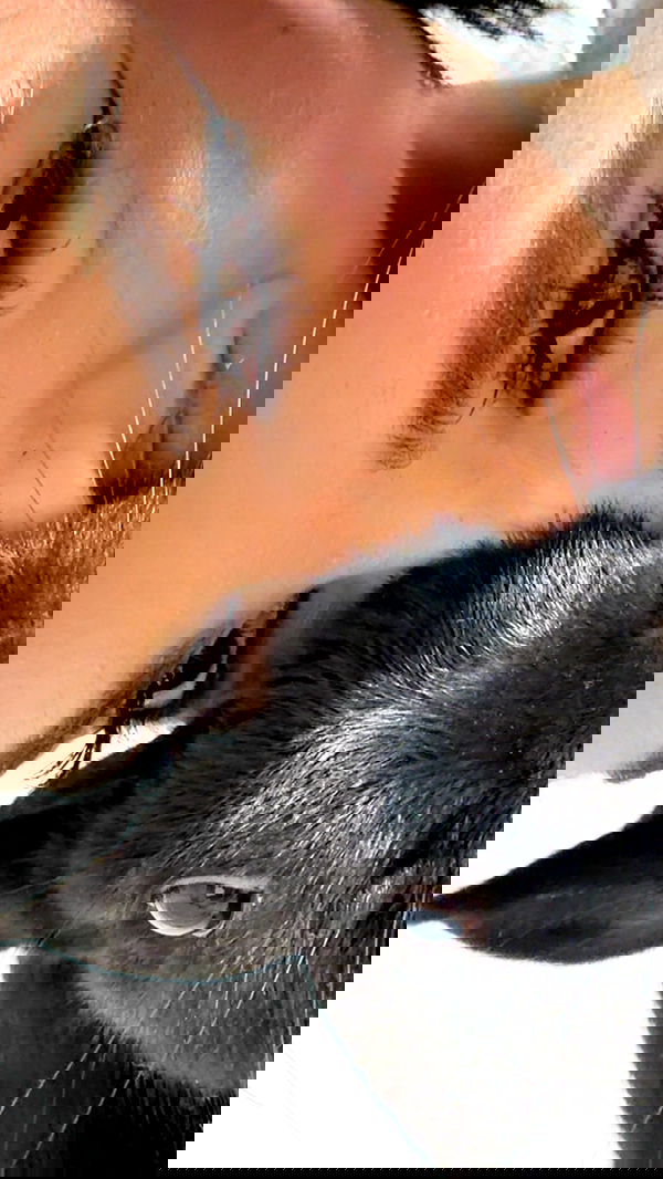 efrat_elmalich efrat_elmalich archive image