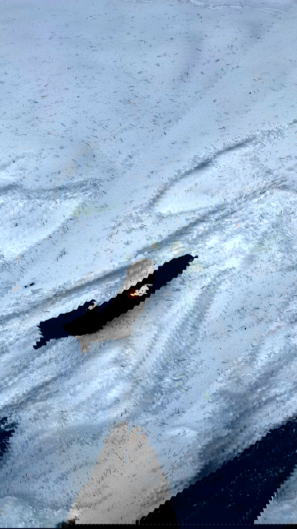 manjolamuriqi manjolamuriqi archive image