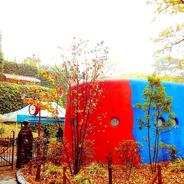 muze instagram image archive image
