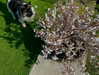 xoreniiiiii Altpins Profile Picture