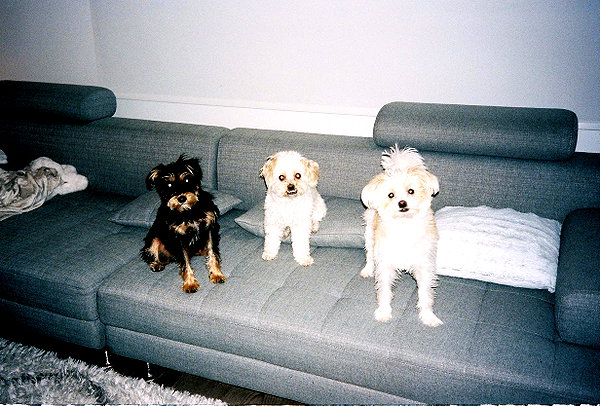camimendes instagram image archive image