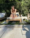 alexandradaddario Altpins Profile Picture