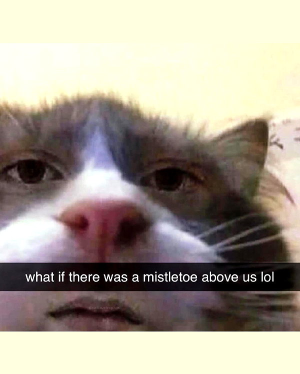 ellaexplicit_ instagram image archive image