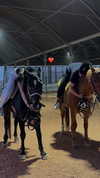 mishel_d_ Altpins Profile Picture