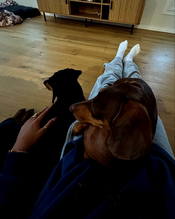 brontesheppeard instagram image archive image