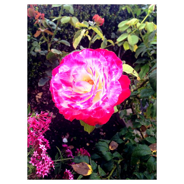 katehudson instagram image archive image