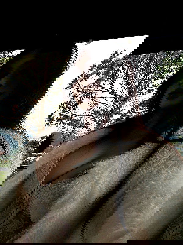 danbbyyy danbbyyy archive image