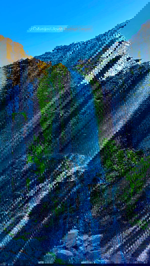 taylor.creeden taylor.creeden archive image