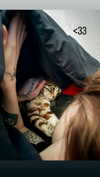 h0llyannabel Altpins Profile Picture