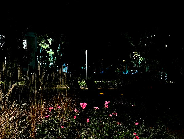 amatveyko instagram image archive image