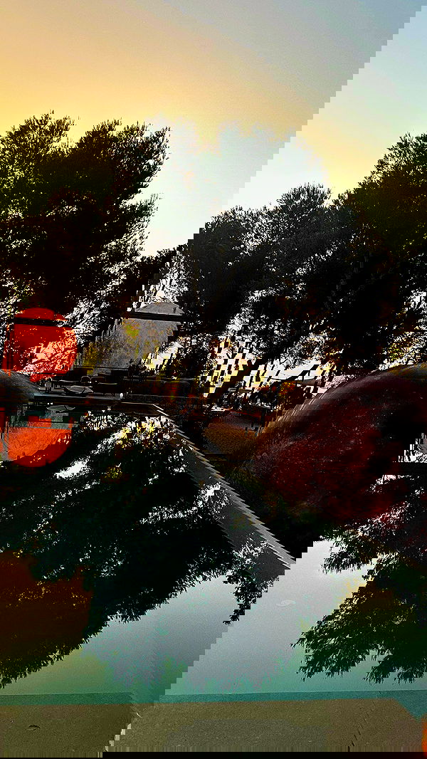 taylor.creeden taylor.creeden archive image