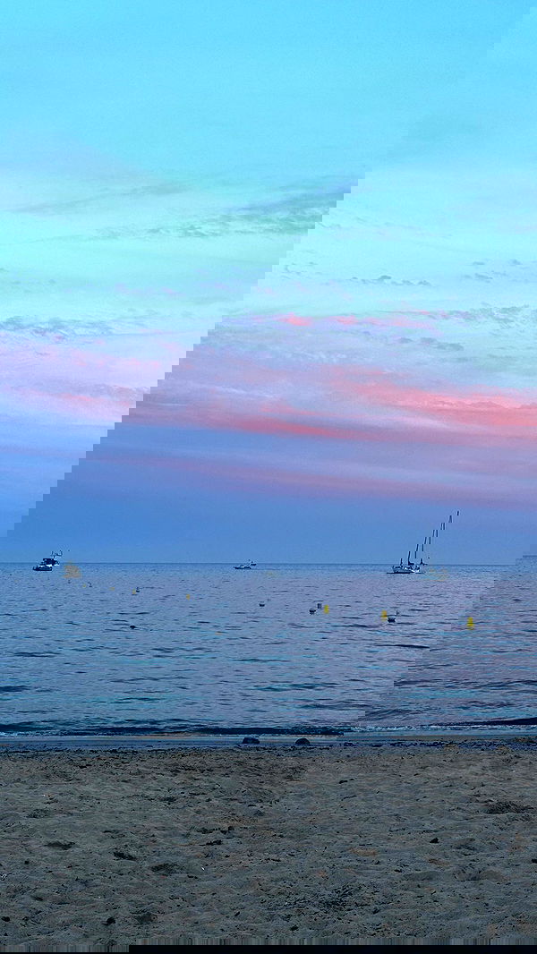 taylor.creeden taylor.creeden archive image