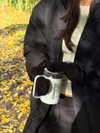 emmaaurora Altpins Profile Picture