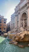 federica.piccinni Altpins Profile Picture