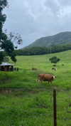 daisy_r_19 Altpins Profile Picture