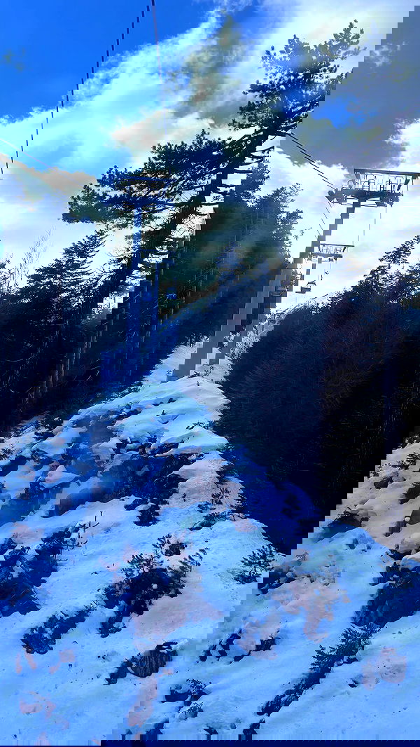 natalllluli natalllluli archive image