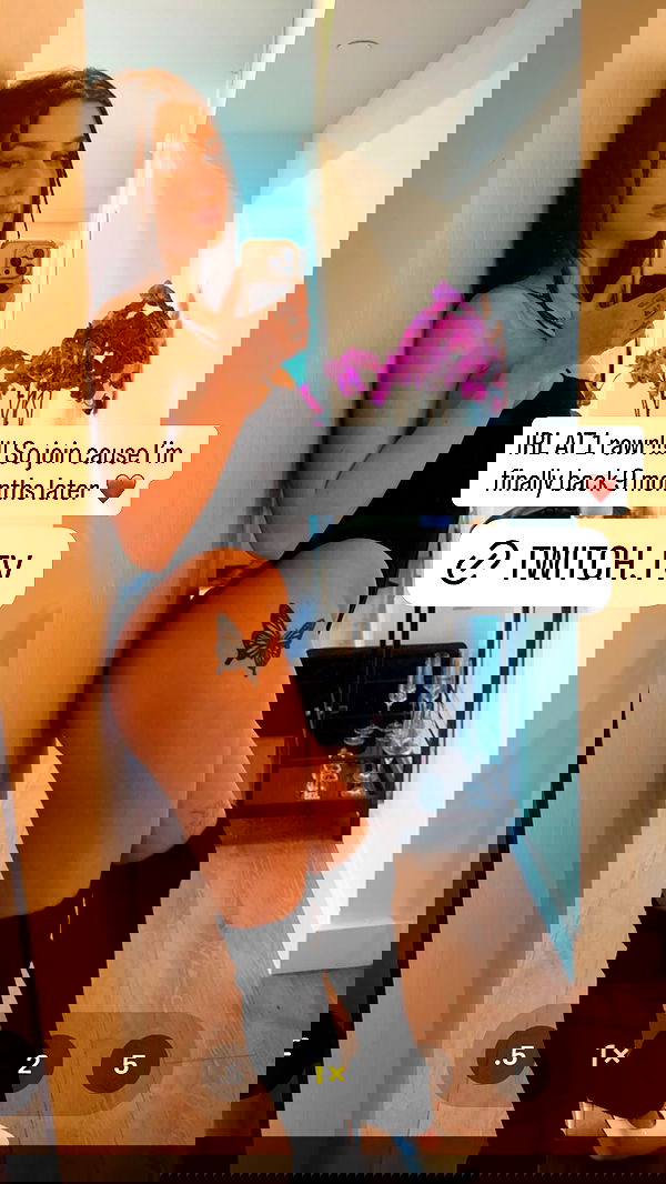 symonery symonery archive image