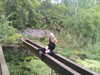 ash.onme Altpins Profile Picture