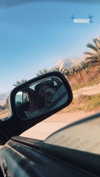 yaarat11 Altpins Profile Picture