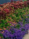 megann_eliizabeth Altpins Profile Picture