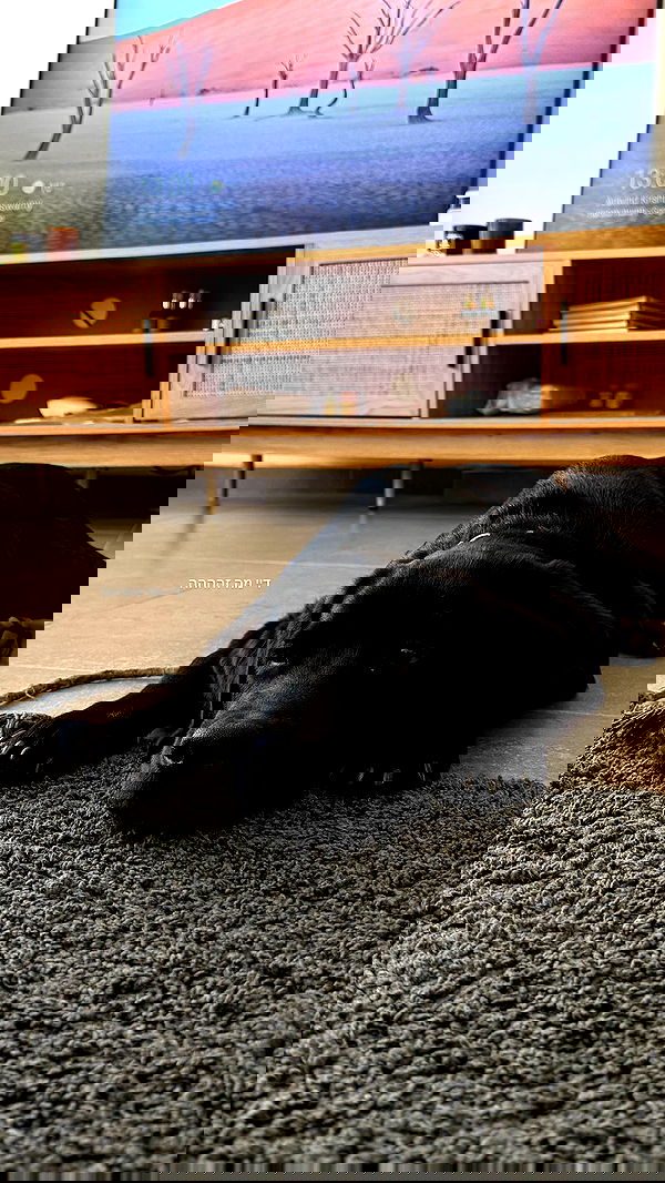 talweisswasser talweisswasser archive image