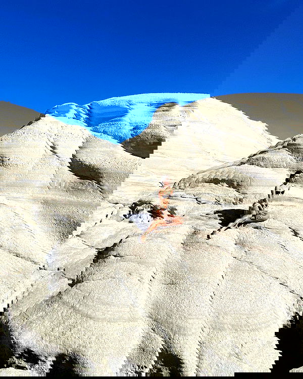 taylor.creeden taylor.creeden archive image