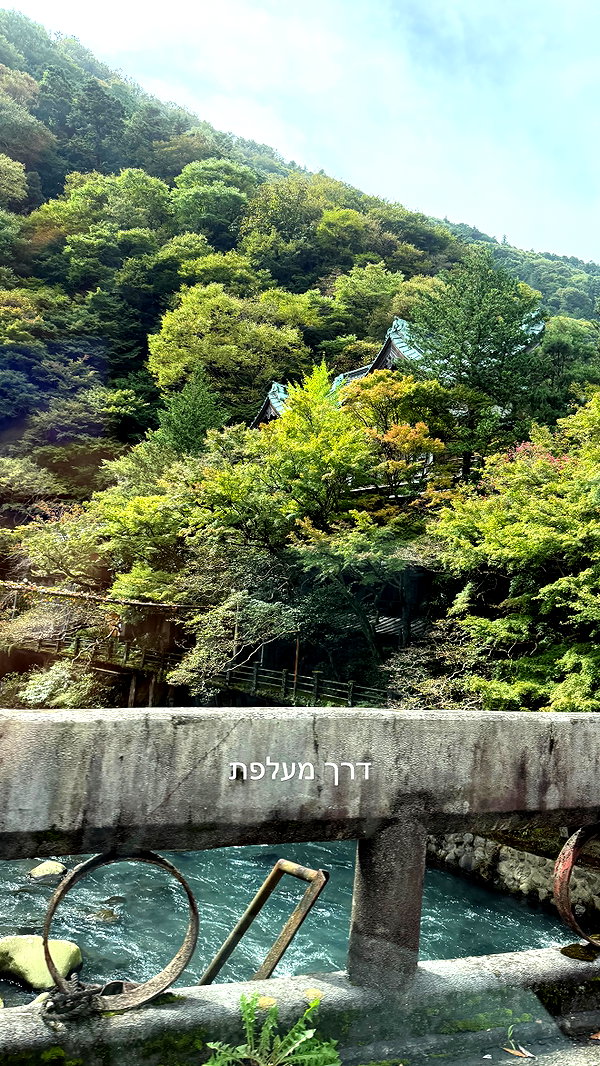 lir.noam instagram image archive image