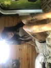 zommmbri Altpins Profile Picture