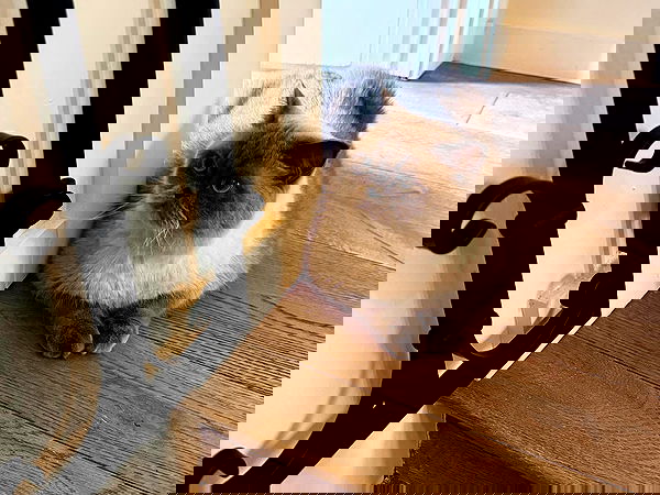 sabrinacarpenter sabrinacarpenter archive image