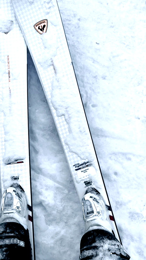 alishenyka alishenyka archive image