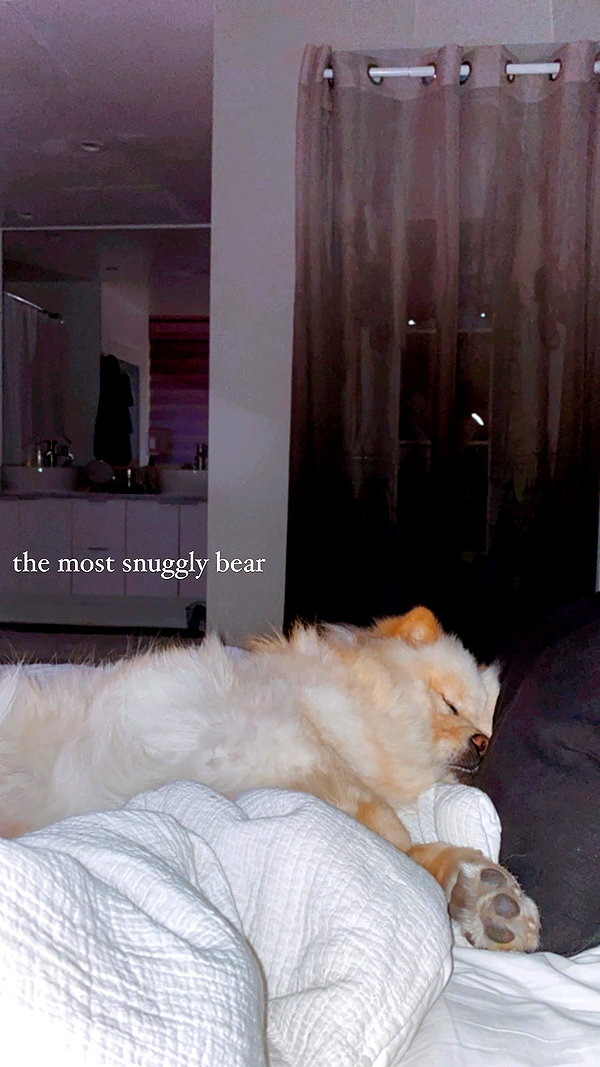 chloerosenbaum instagram image archive image