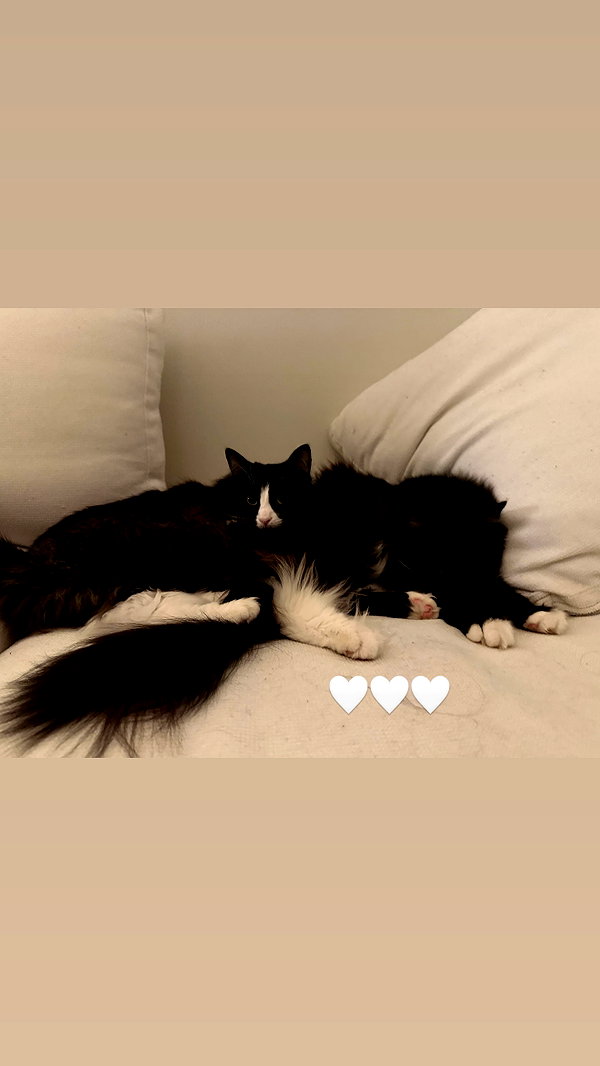 sydney_melman instagram image archive image