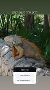 itsilanosh Altpins Profile Picture