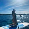 saaay_nas Altpins Profile Picture