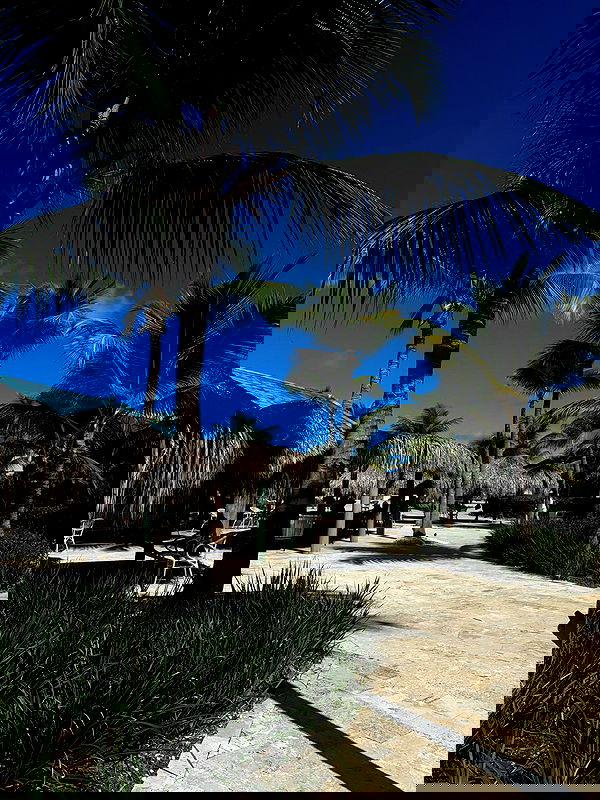 gwendolynceline gwendolynceline archive image