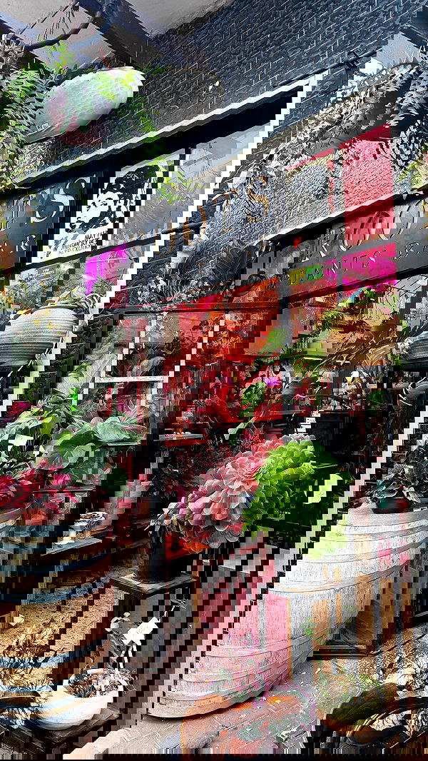 strawberryshanz strawberryshanz archive image