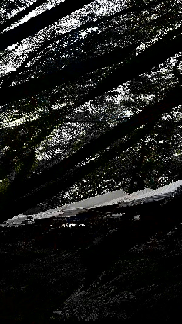 eliya.ho eliya.ho archive image